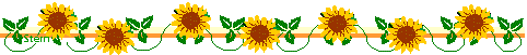 sunflower line